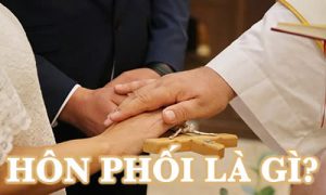 Hôn phối là gì?