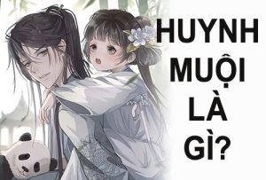 huynh muội là gì